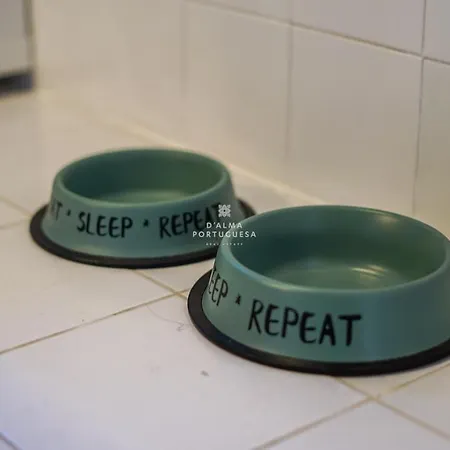 Salgados Lounge - By Dalma Portuguesa Lägenhet Albufeira